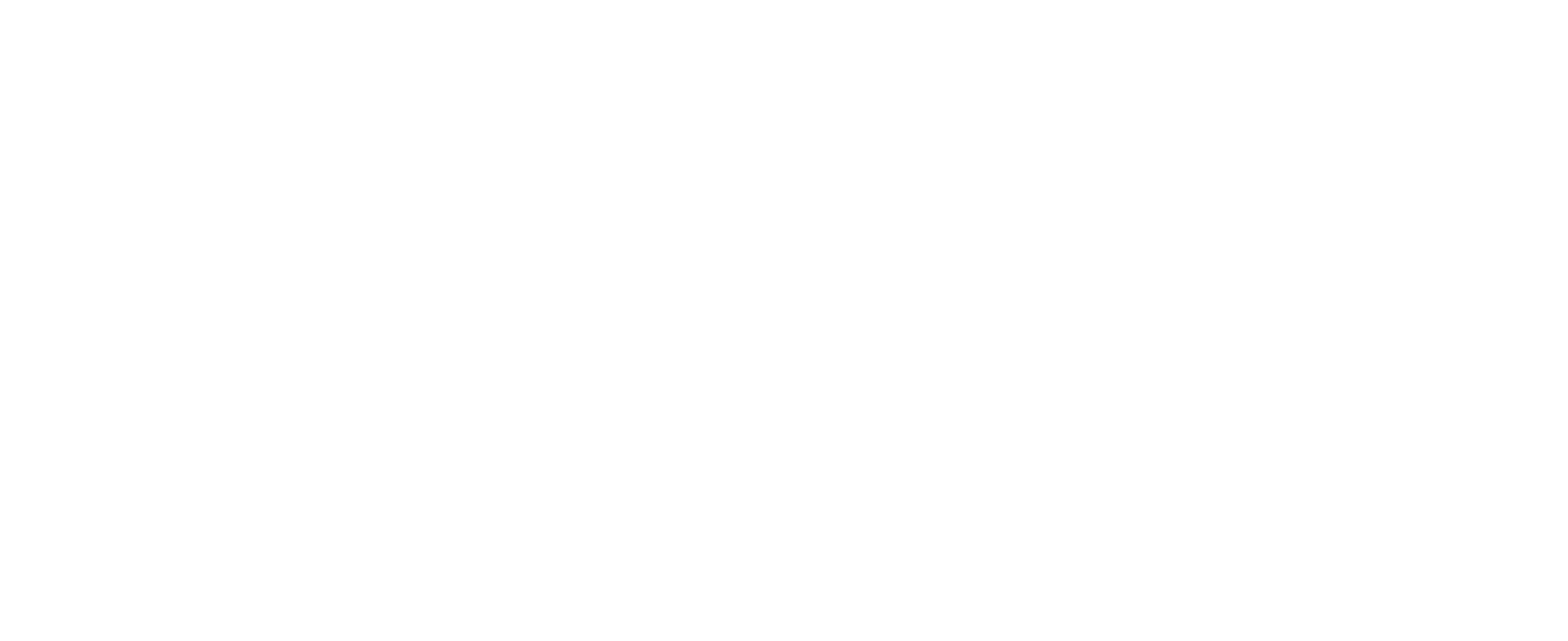 Zelle Logo